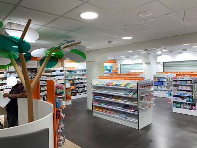 PHARMACIE DU VILLAGE, Pharmacie à Loison-sous-Lens