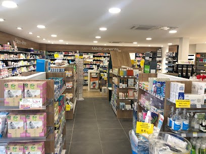 pharmacie du bourg Reynaud-Mousset, Pharmacie à Ploudaniel