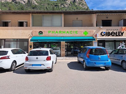 Pharmacie de la Roudoule, Pharmacie à Puget-Théniers