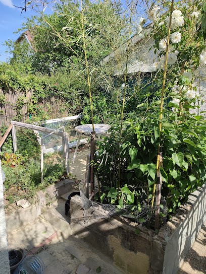 Pharmacie de Nantilly, Pharmacie à Saumur