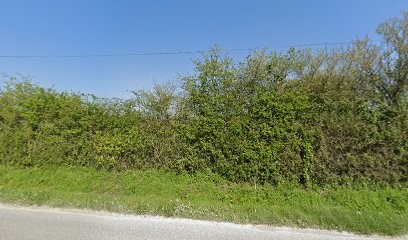 Pharmacie Mauclere, Pharmacie  