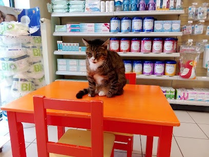 PHARMACIE DE LA FALAISE, Pharmacie à Outreau