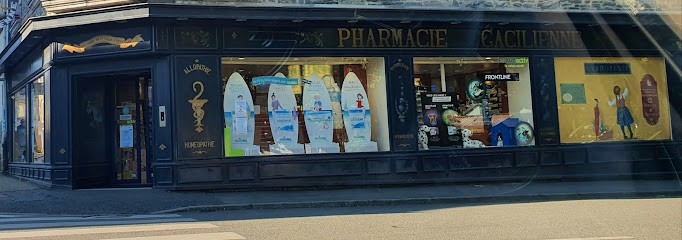 Pharmacie Gacilienne, Pharmacie à La Gacilly