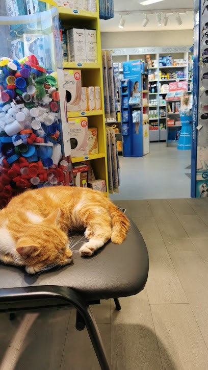 Curci, Pharmacie à Yébleron