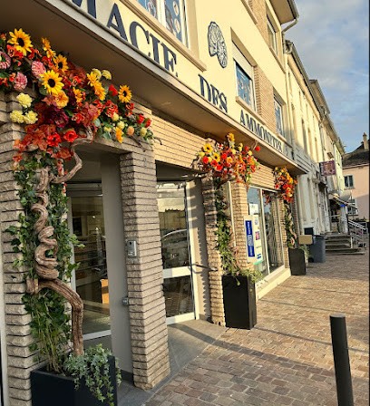 Pharmacie wellpharma des Ammonites, Pharmacie à Hettange-Grande