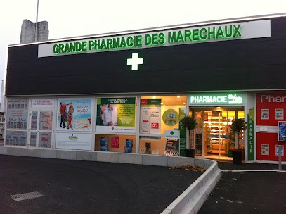 Grande Pharmacie des Maréchaux, Pharmacie à Haguenau