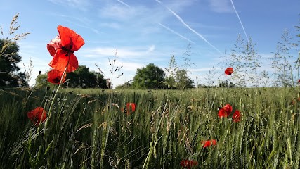 Pharmacie DUBOS Sophie, Pharmacie à Foulayronnes