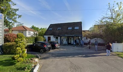 Disarbois, Pharmacie au Pin