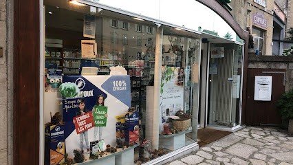 Pharmacie du Marché, Pharmacie à Florac Trois Rivières