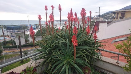 Remy Corinne, Pharmacie à Menton