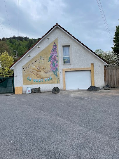 Pharmacie Du Vert Pré, Pharmacie à Dommartin-lès-Remiremont
