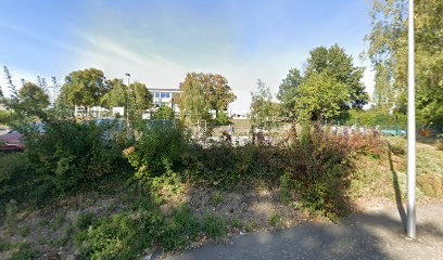 💊 PHARMACIE LA ROSE DES VENTS I Segre En Anjou Bleu 49, Pharmacie à Segré-en-Anjou Bleu