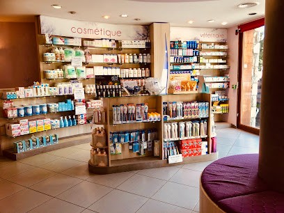 Pharmacie Mougin Hervé, Pharmacie à Mercury