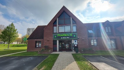 Pharmacie Du Blanc Riez, Pharmacie à Wattignies