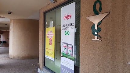 Pharmacie La Chartreuse Bironneau, Pharmacie à Villeneuve-lès-Avignon