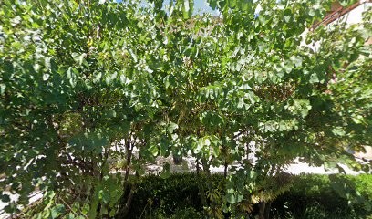 Pharmacie Vourles, Pharmacie à Vourles