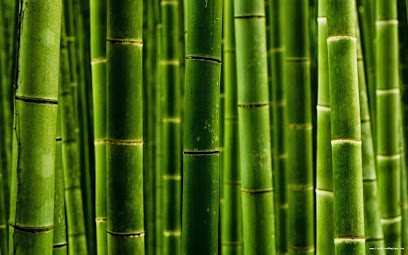 La Para, Pharmacie à Château-Thierry