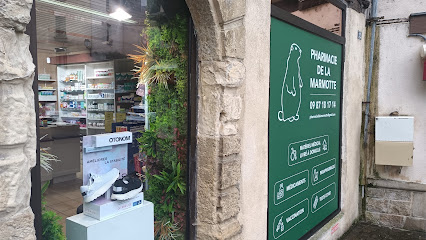 Pharmacie De La Marmotte, Pharmacie à Saint Geniez d'Olt et d'Aubrac