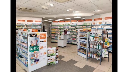 PHARMACIE ROUDIERE PIERRE, Pharmacie à Saint-Paterne-Racan